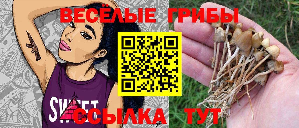 Жуковский  Псилоцибиновые грибы Psilocybine cubensis  Вход с VPN 