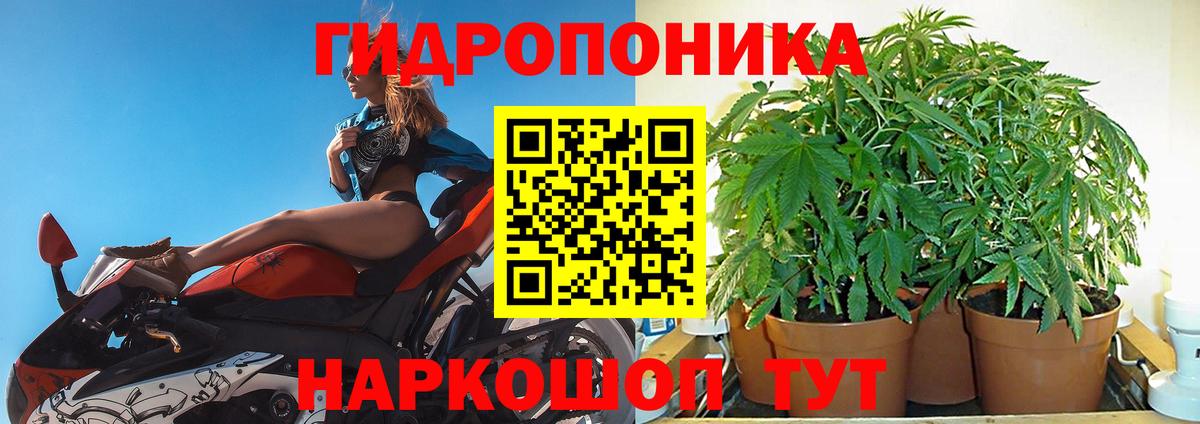 Конопля ГИДРОПОН Жуковский